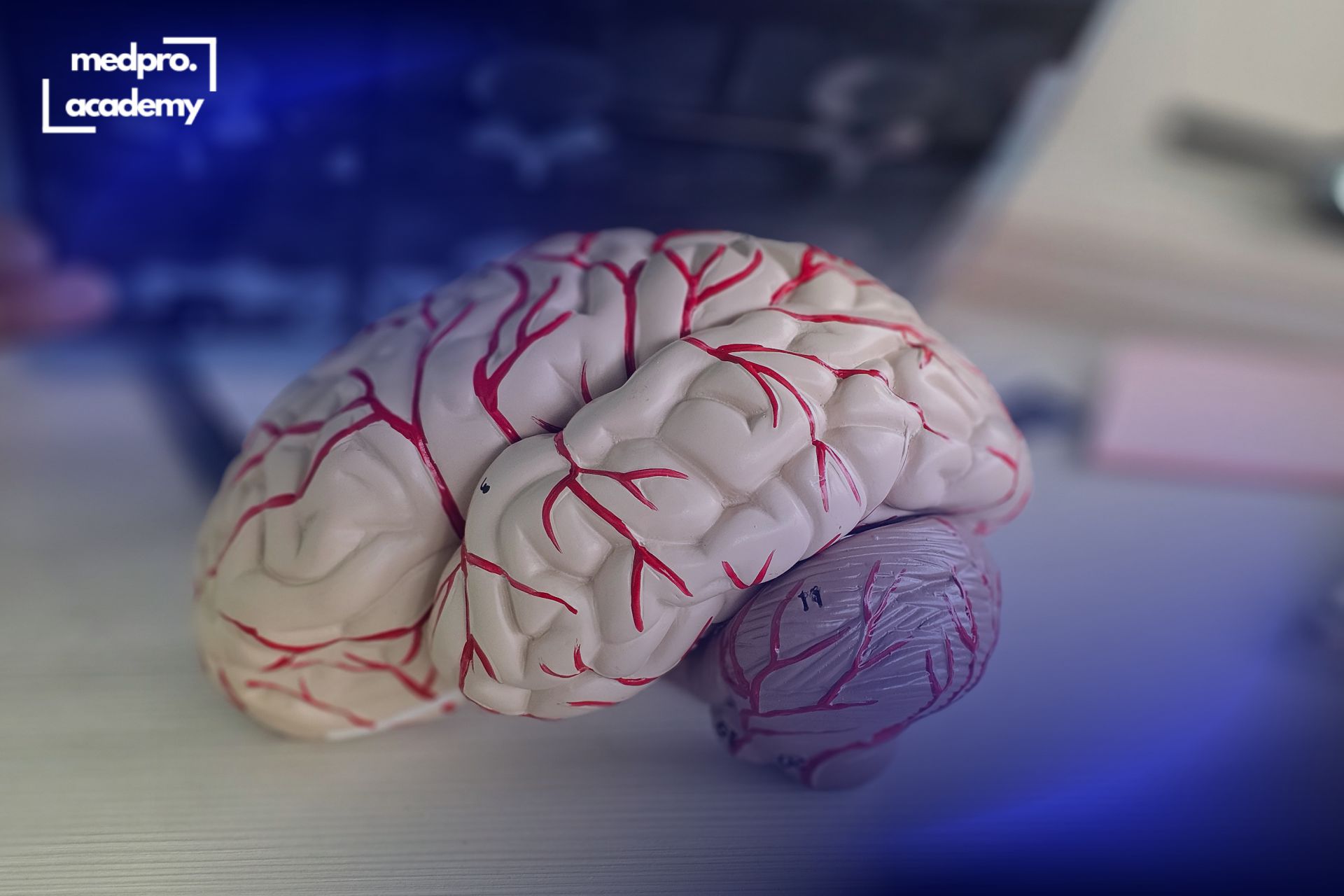 2Деменція ранні ознаки, атипові форми та клінічні виклики